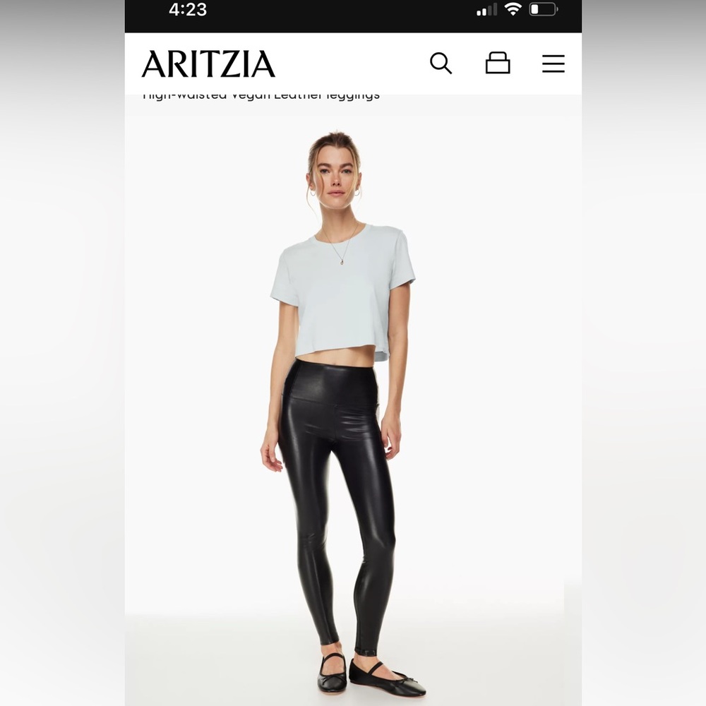 Aritzia Wilfred Daria Pant
